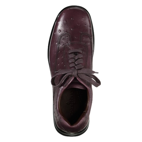 Cole Haan Air Conner Tobacco Ostrich Print Outlet Online