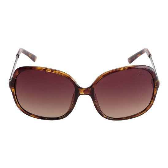 Cole Haan Square Etched Genevieve Temple Sunglasses Tortoise Outlet Online