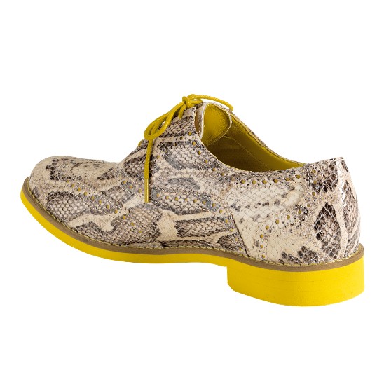 Cole Haan Alisa Oxford Cream Snake Print/Sunflower Outlet Online