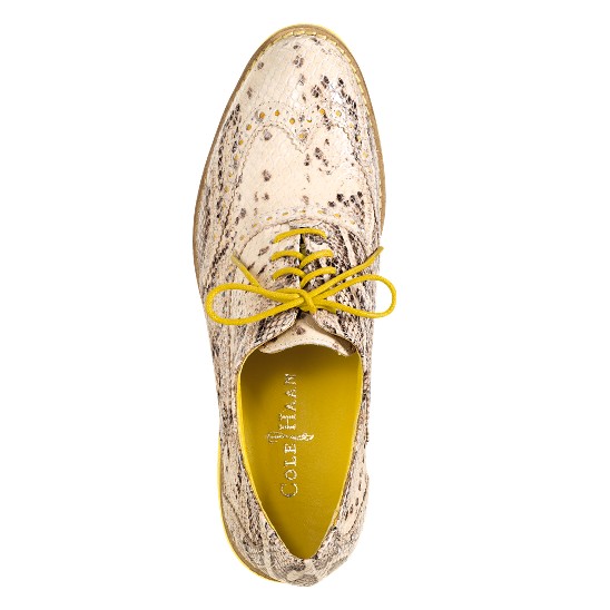 Cole Haan Alisa Oxford Cream Snake Print/Sunflower Outlet Online